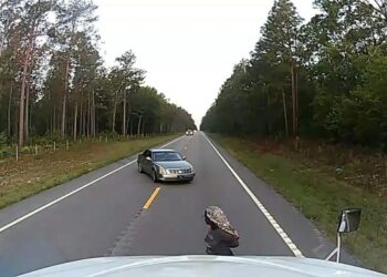 Preacher & Trucker Anthony J. Moore Saves Black Woman From White Kidnapper