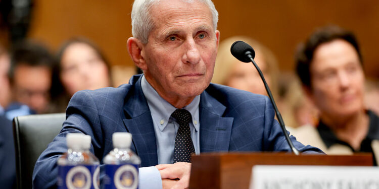 Dr. Fauci Pleads The 5th During GOP-Led Sham Hearing About The COVID-19 Pandemic Dr. Fauci Pleads The 5th During GOP-Led Sham Hearing About The COVID-19 Pandemic